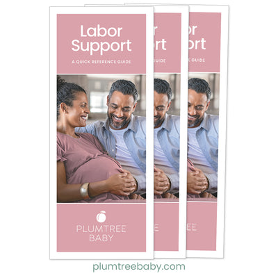 Labor Support Quick Reference Guides - Pack of 50-Handout-Plumtree Baby