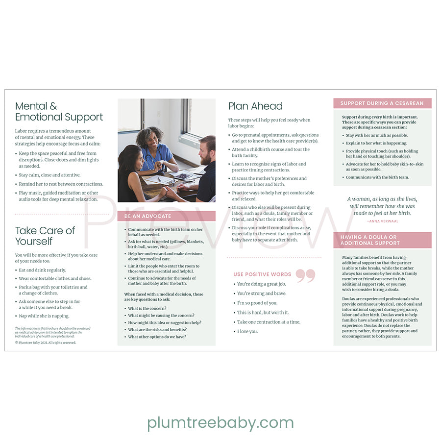 Labor Support Quick Reference Guides Pack of 50 Plumtree Baby