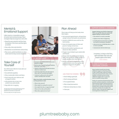 Labor Support Quick Reference Guides - Pack of 50-Handout-Plumtree Baby