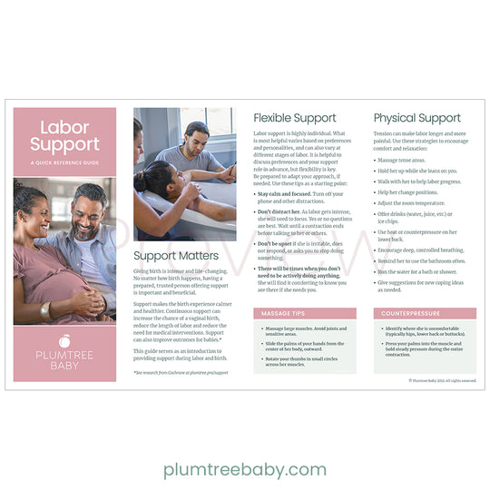 Labor Support Quick Reference Guides Pack of 50 Plumtree Baby
