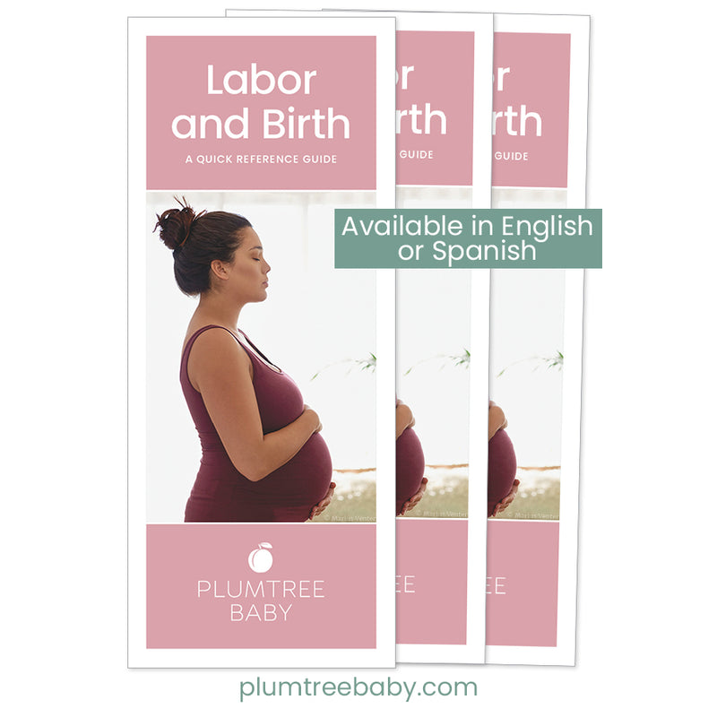 Labor and Birth Quick Reference Guides - Pack of 50-Handout-Plumtree Baby