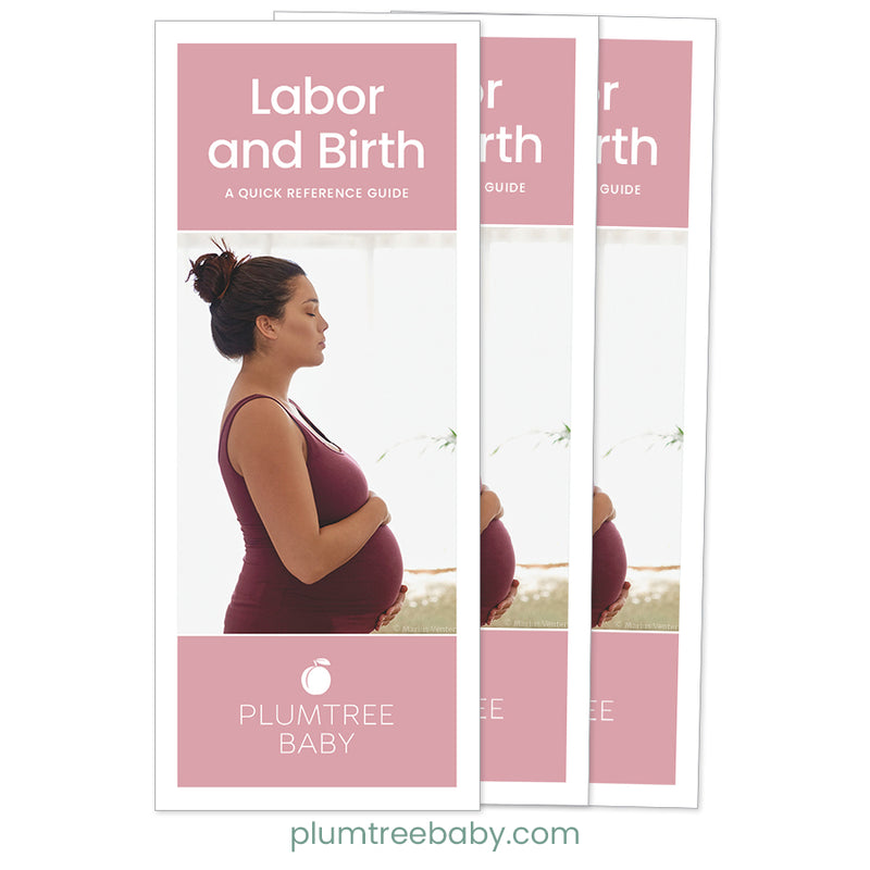 Labor and Birth Quick Reference Guides - Pack of 50-Handout-Plumtree Baby