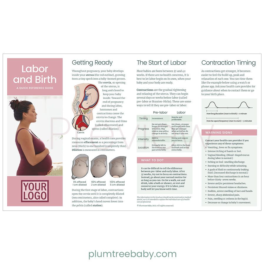 Prenatal Welcome Packets - Custom-Packet-Plumtree Baby