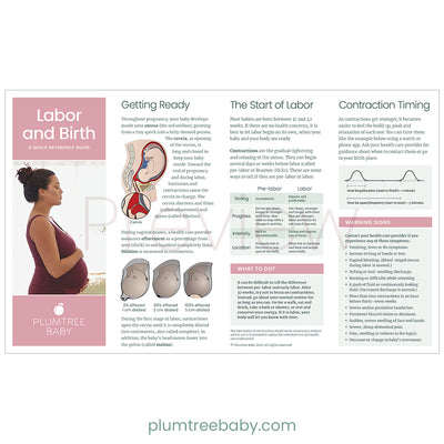 Prenatal Welcome Packets-Packet-Plumtree Baby