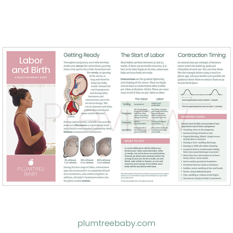 Prenatal Welcome Packets-Packet-Plumtree Baby