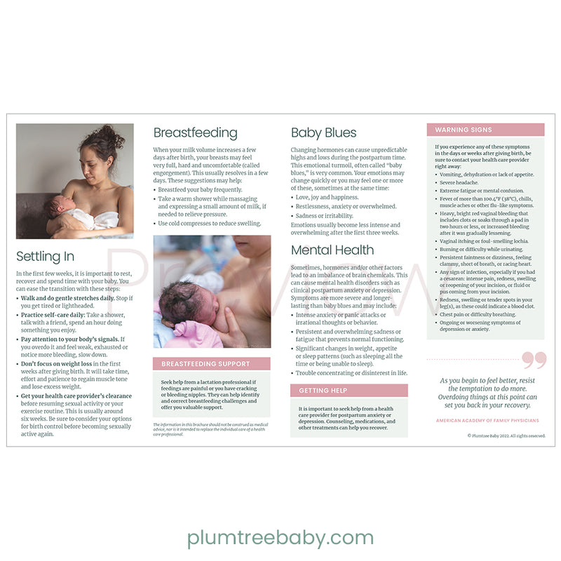 Postpartum Quick Reference Guides - Pack of 50-Handout-Plumtree Baby