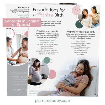 Foundations for a Positive Birth Handouts - Pack of 50-Handout-Plumtree Baby