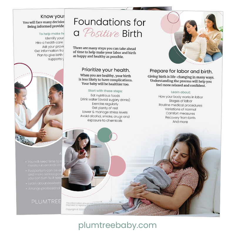 Foundations for a Positive Birth Handouts - Pack of 50-Handout-Plumtree Baby