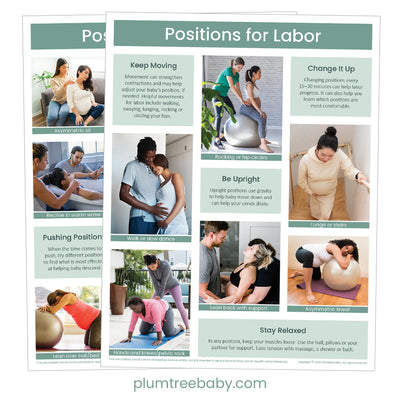 Positions for Labor Handouts - Pack of 50-Handout-Plumtree Baby