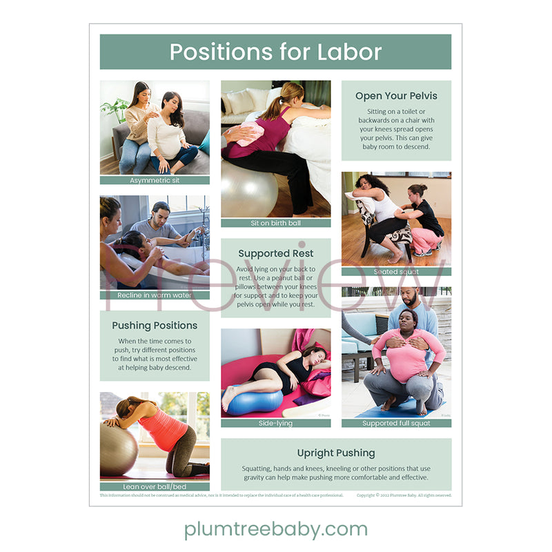 Positions for Labor Handouts - Pack of 50-Handout-Plumtree Baby