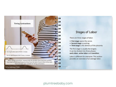 Birth Basics Pocket Guide-Book-Plumtree Baby