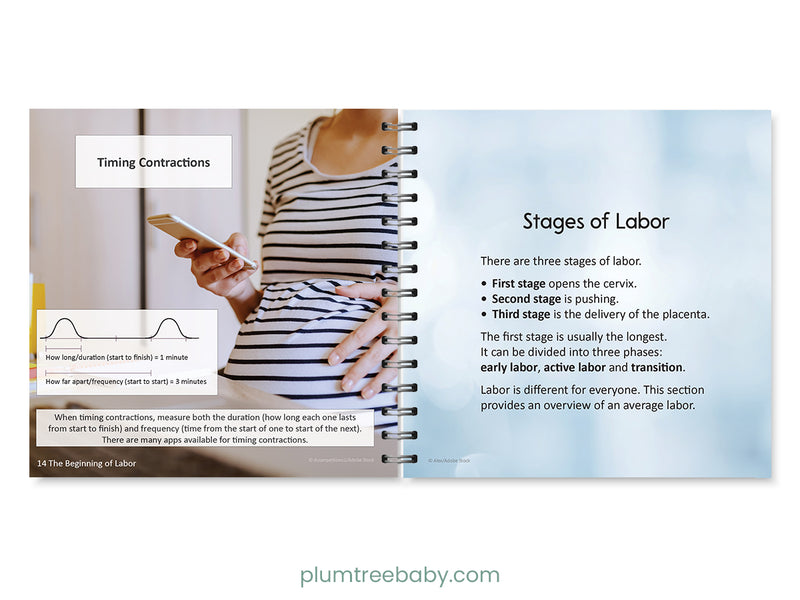 Birth Basics Pocket Guide-Book-Plumtree Baby