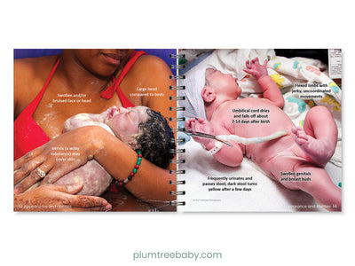 Newborn Pocket Guide-Book-Plumtree Baby
