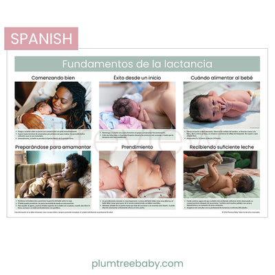 Breastfeeding Basics Poster-Poster-Plumtree Baby
