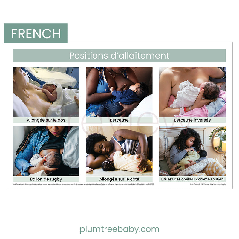 Breastfeeding Positions Poster-Poster-Plumtree Baby