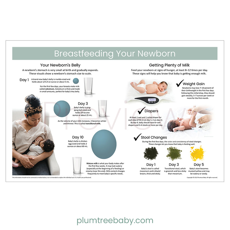 Breastfeeding Your Newborn Poster-Poster-Plumtree Baby