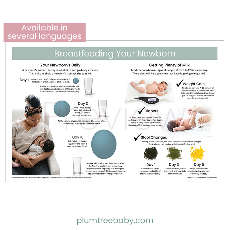Breastfeeding Your Newborn Poster-Poster-Plumtree Baby
