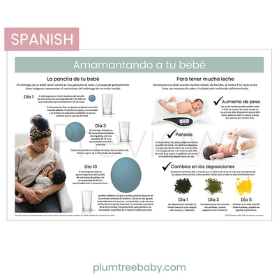 Breastfeeding Your Newborn Poster-Poster-Plumtree Baby