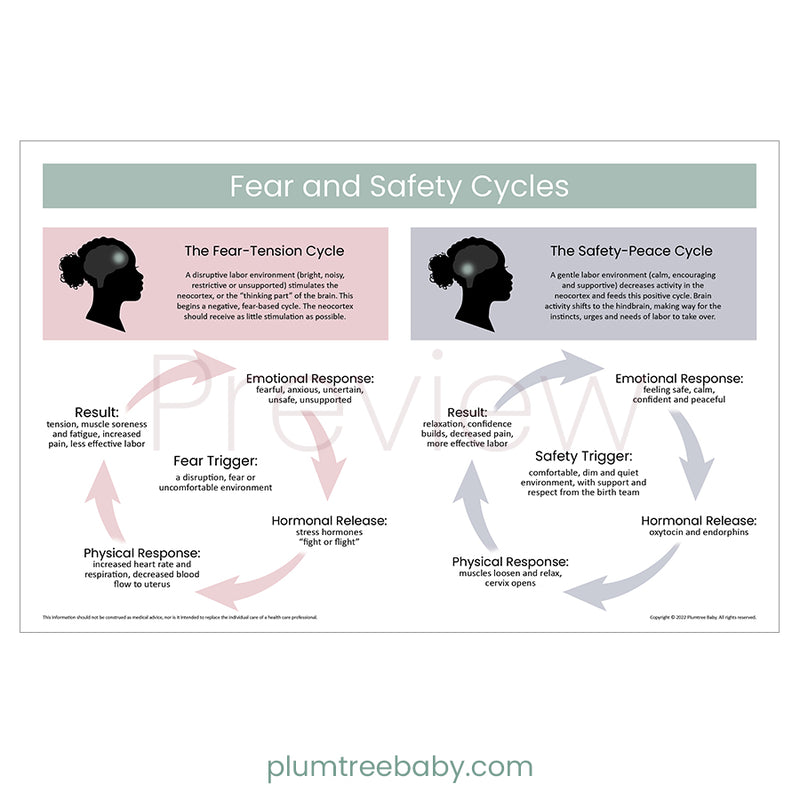 Fear and Safety Cycles Poster-Poster-Plumtree Baby