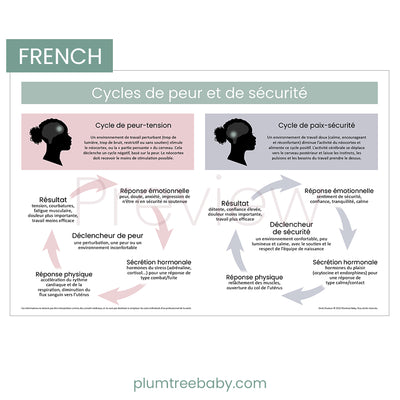 Fear and Safety Cycles Poster-Poster-Plumtree Baby
