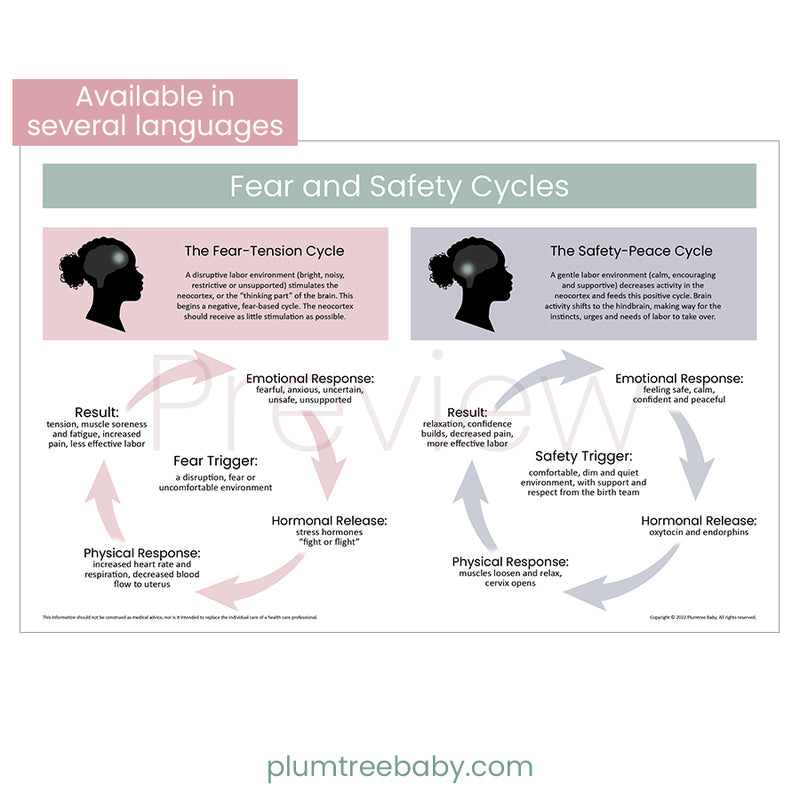 Fear and Safety Cycles Poster-Poster-Plumtree Baby