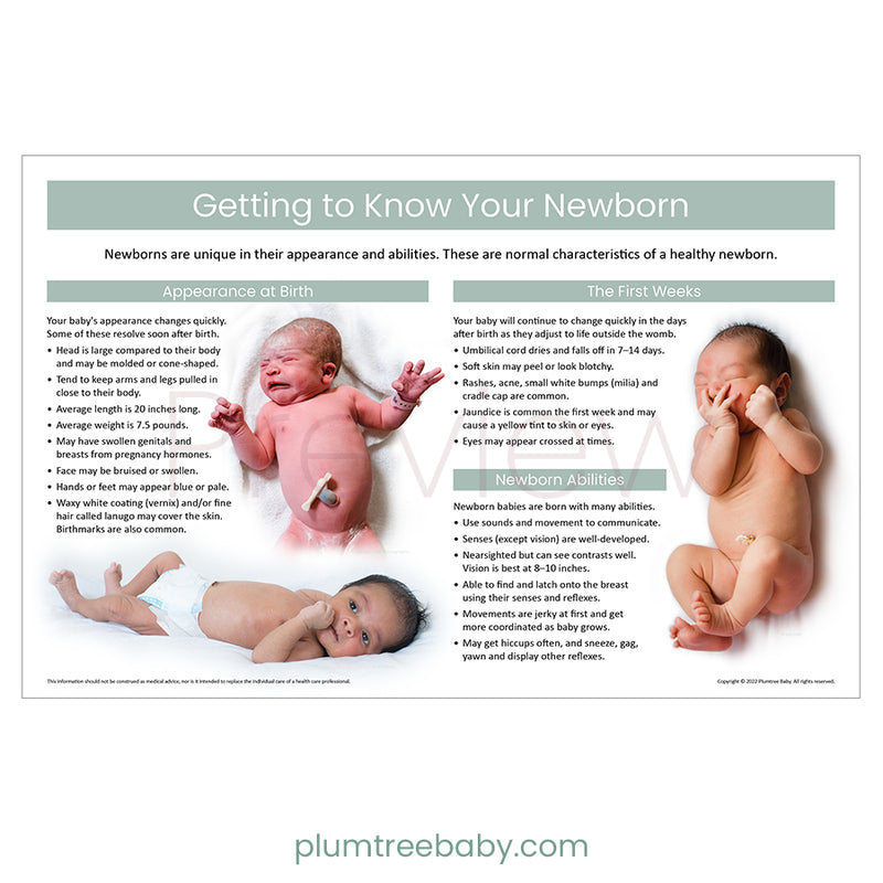 Getting to Know Your Newborn Poster-Poster-Plumtree Baby