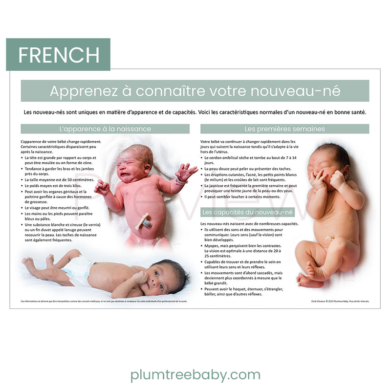 Getting to Know Your Newborn Poster-Poster-Plumtree Baby