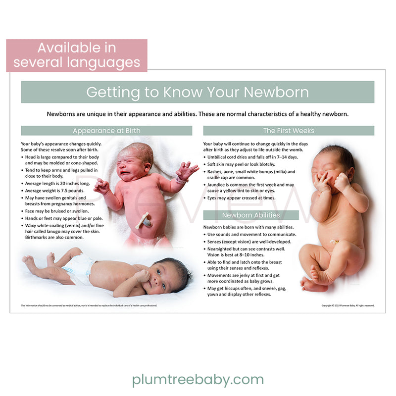 https://www.plumtreebaby.com/cdn/shop/products/PIposterGettingtoKnowYourNewbornMain2022_800x.jpg?v=1666354203