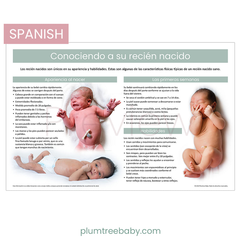 Getting to Know Your Newborn Poster-Poster-Plumtree Baby