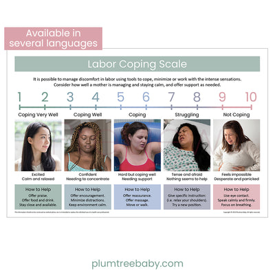 Labor Coping Scale Poster-Poster-Plumtree Baby