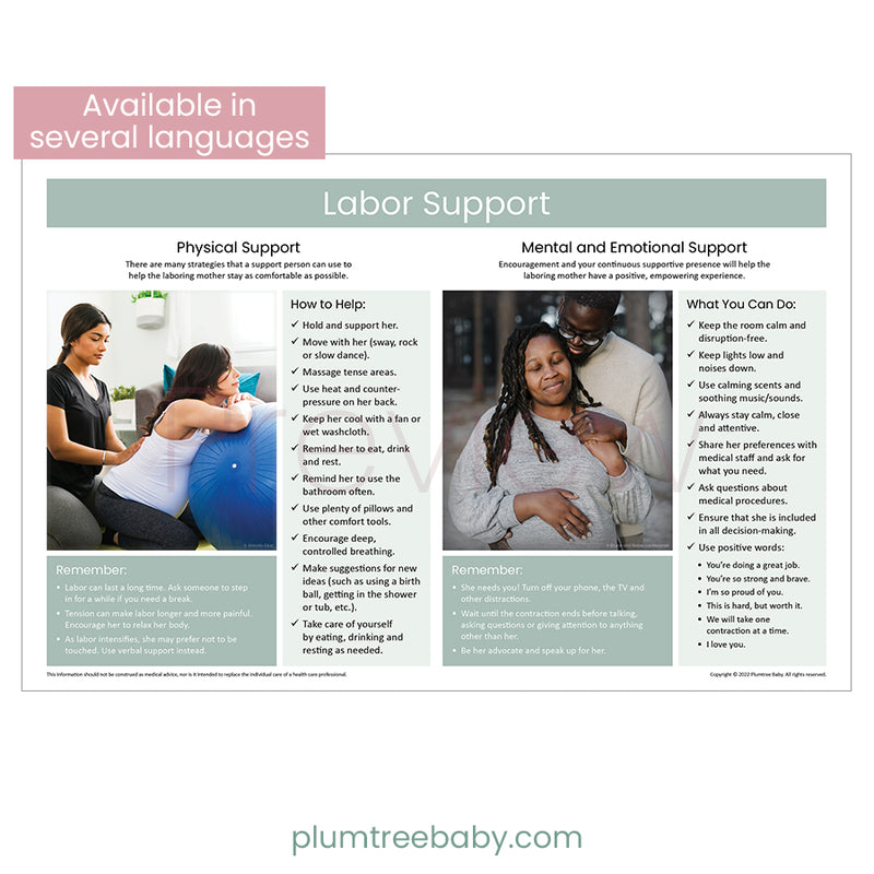 Labor Support Poster-Poster-Plumtree Baby