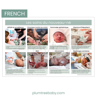 Newborn Care Practices Poster-Poster-Plumtree Baby