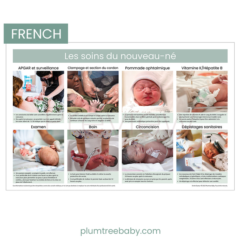 Newborn Care Practices Poster – Plumtree Baby