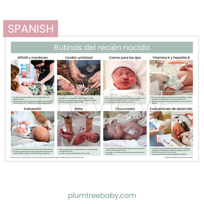 Newborn Care Practices Poster-Poster-Plumtree Baby
