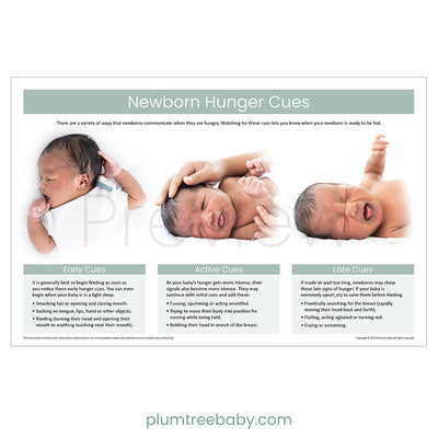 Newborn Hunger Cues Poster-Poster-Plumtree Baby