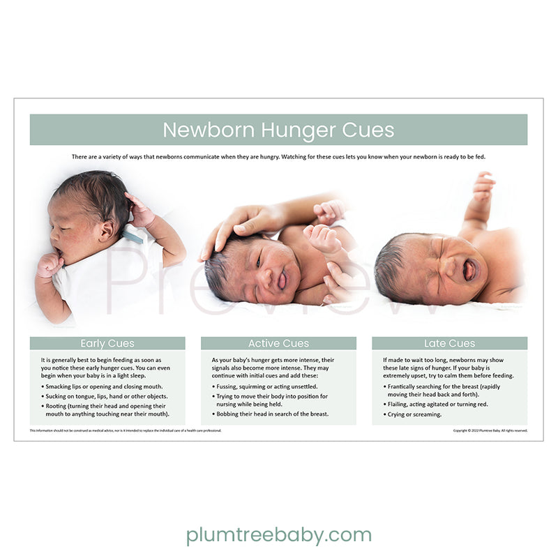 Humger Cues Newborn Hunger Cues Poster – Plumtree Baby