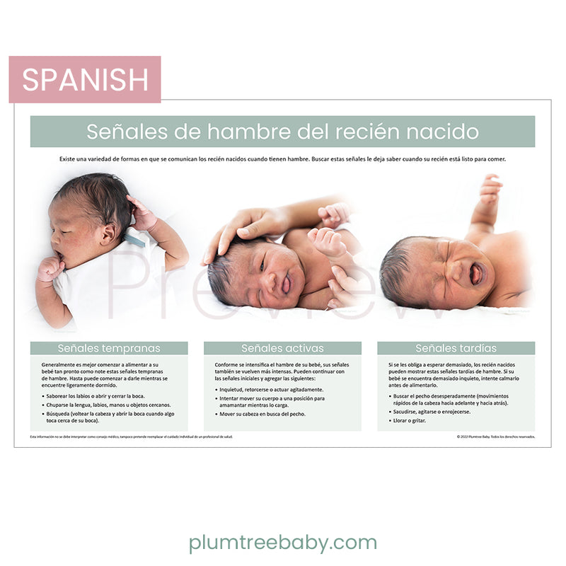 Newborn Hunger Cues Poster-Poster-Plumtree Baby