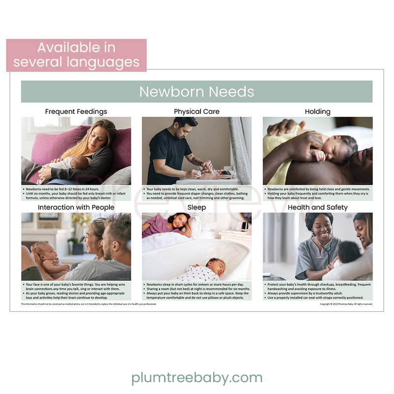 Newborn Needs Poster-Poster-Plumtree Baby