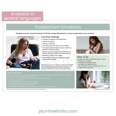 Postpartum Emotions Poster-Poster-Plumtree Baby