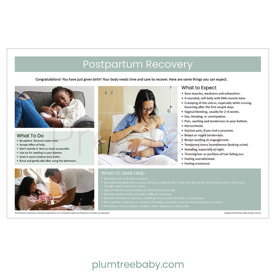 Postpartum Recovery Poster-Poster-Plumtree Baby