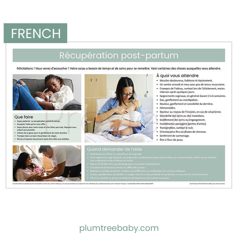 Postpartum Recovery Poster – Plumtree Baby