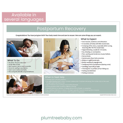 Postpartum Recovery Poster-Poster-Plumtree Baby