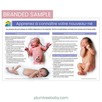 Branded Large Posters-Poster-Plumtree Baby