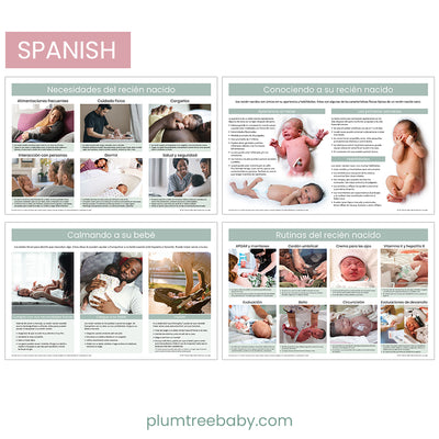 Newborn Poster Set-Poster-Plumtree Baby